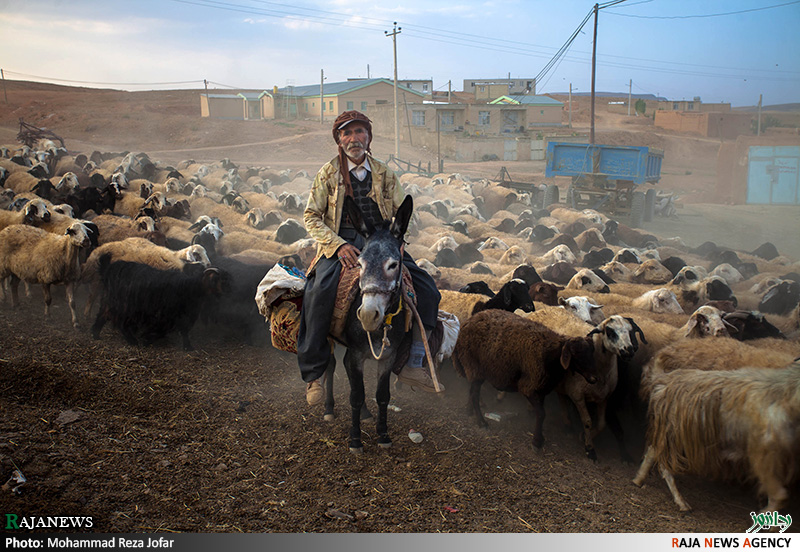 عکس: روستای جعفرآباد کردستان | پایگاه اطلاع رسانی رجا